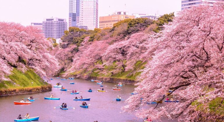 Primavera no Japão